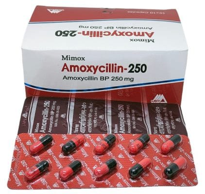 Capsule Amoxycilin 250mg (100pcs) (Albion)